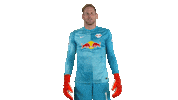 Come Here Lets Go Sticker by RB Leipzig