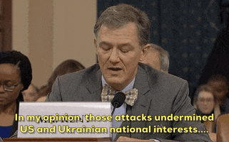 news impeachment impeachment inquiry george kent GIF