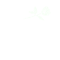 sorry i love you Sticker by Vacation Forever