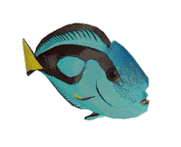 3D Day Sticker by MeshMinds