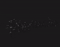 Paradiseplates physical therapy pinnacle GIF