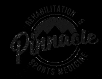 Paradiseplates physical therapy pinnacle GIF