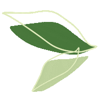 Grow Falling Leaves Sticker by LILLYDOO