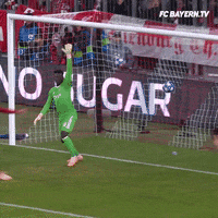 happy mats hummels GIF by FC Bayern Munich