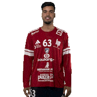 Sleep No Sticker by GRAND BESANÇON DOUBS HANDBALL