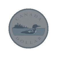 Canadian Money Sticker by Finpipe