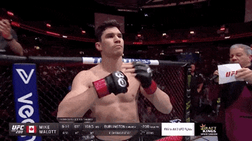 Sport Mma GIF by UFC