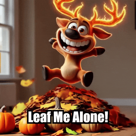 elkijahspark fall autumn leaves seasonal events GIF