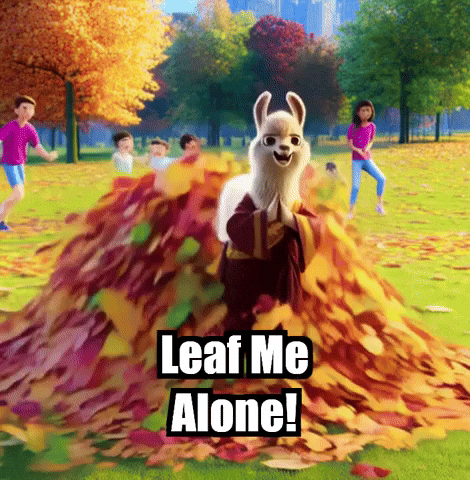 Fall Autumn GIF by dalaillamazen