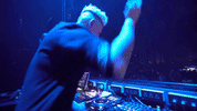 Party Dj GIF by Christina Novelli