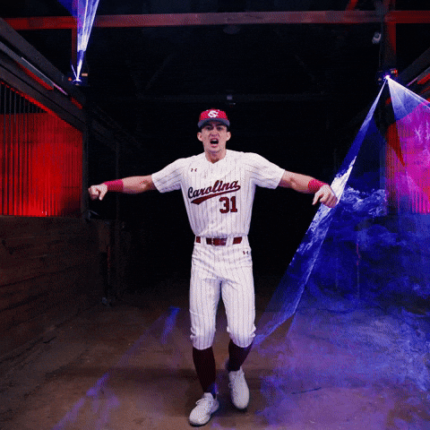 Home Run Celebration GIF by Gamecock Athletics
