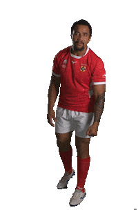 Tonga Rugby Sticker by Rugby World Cup