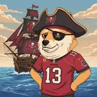 Tampa Bay Buccaneers Football GIF by Doge Pound