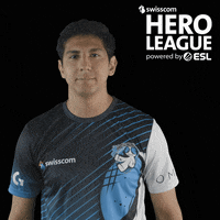 SwisscomHeroLeague reaction yes ok thumbs up GIF