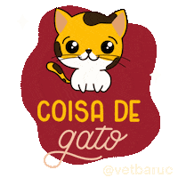Coisadegato Sticker by VetBaruc