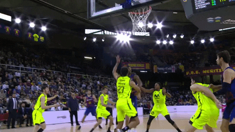 Flying Fc Barcelona GIF by ACB