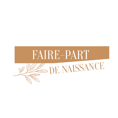 InstantHera giphyupload naissance faire part linstant héra Sticker