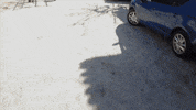 not2bad GIF by EchoBoom Sports