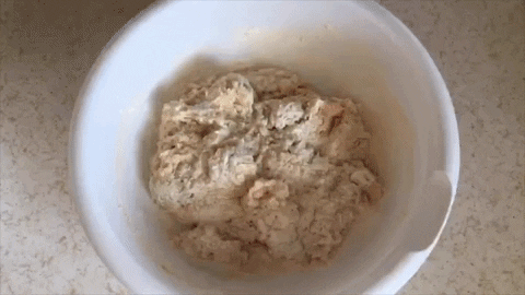 brenaloubakes giphyupload bread dough yeastdough GIF