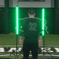 Parkside Baseball GIF by Parkside Athletics