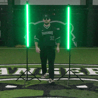 Parkside Baseball GIF by Parkside Athletics