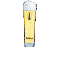 Beer Bier Sticker by Privatbrauerei Waldhaus