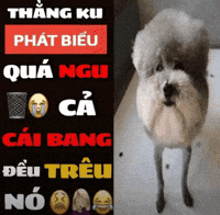 Statement GIF