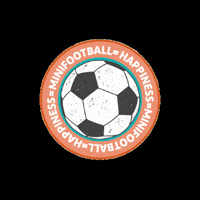 visitrasalkhaimahraktda football victory passion worldcup GIF
