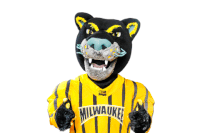 excited university GIF by UW-Milwaukee