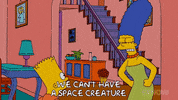 Episode 5 GIF by The Simpsons