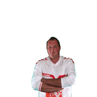 Vogels8 Vogelsacht Sticker by Valleivogels