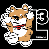 Weather 柴犬 GIF by SHIBAINC