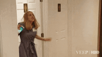veephbo hbo veep hugh laurie julia louis-dreyfus GIF