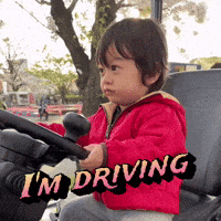 Im Driving GIF