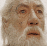 Shocked Lord Of The Rings GIF by Maudit