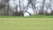north dakota state golf GIF by NDSU Athletics