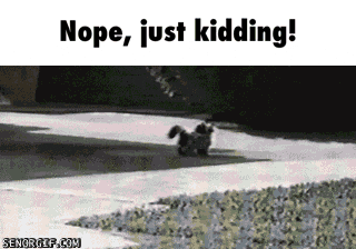 just kidding GIF