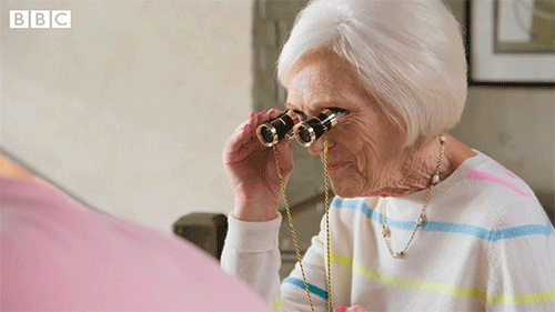 Spying Mary Berry GIF by BBC