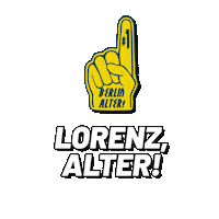 Basketball Berlin Sticker by BERLIN, ALTER!