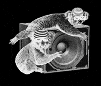 Hildesheim GIF by woodlands collective