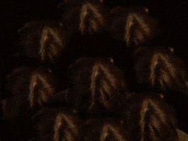 Head Up Wink GIF by GIPHY IRL