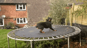 GIF by Mashable