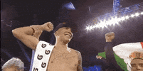 toprank fight boxing fighting fighters GIF