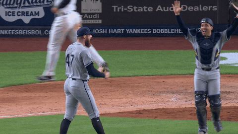 Celebrate Tampa Bay Rays GIF by MLB