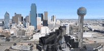 texas dallas GIF