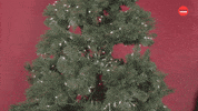 Christmas Happy Holidays GIF by BuzzFeed