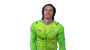 Yann Sommer Bundesliga Sticker by Borussia Mönchengladbach