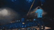 jordanjay dj festival live jordan jay GIF
