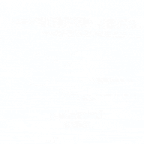konstantinvsedegov giphygifmaker GIF