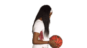 ElonPhoenixAthletics elon phoenix elon basketball Sticker